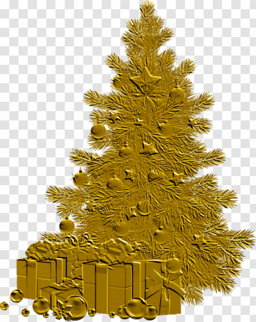 Christmas Tree Pine Fir - Branch Transparent PNG