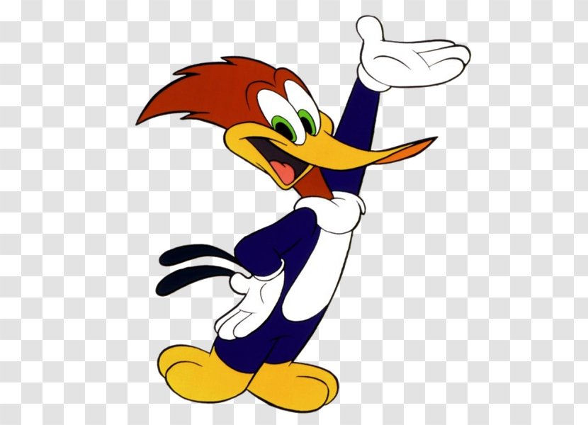 Woody Woodpecker Andy Panda Felix The Cat Cartoon - Character - Animation Transparent PNG