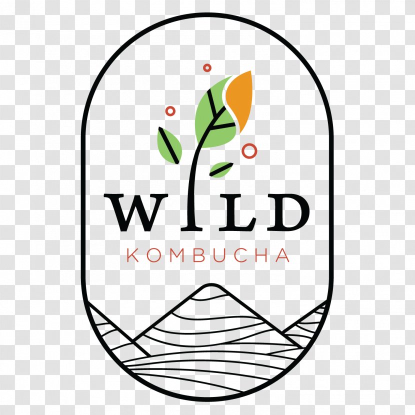 Kombucha Green Tea Probiotic Spice - Leaf Transparent PNG
