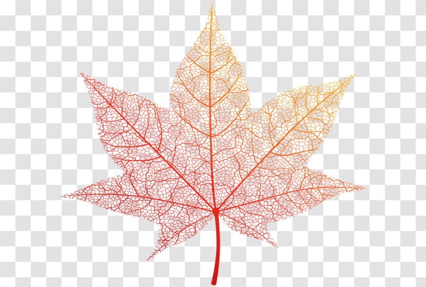 Autumn Leaf Color Clip Art - Lossless Compression - Clipart Transparent PNG