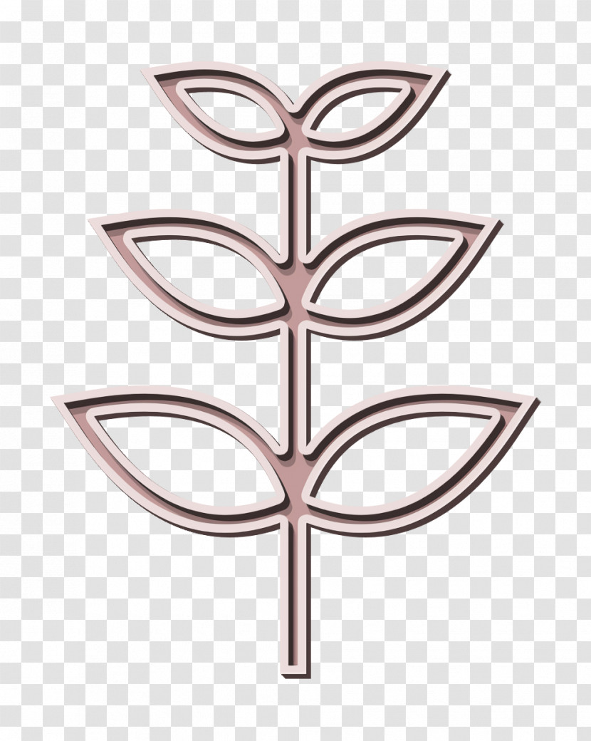 Leaf Icon Rowan Icon Flowers And Leaves Icon Transparent PNG