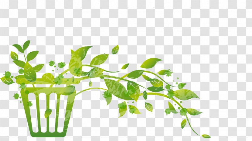 Leaf Greens Plant Stem Herb Font - Botany - Abatement Illustration Transparent PNG