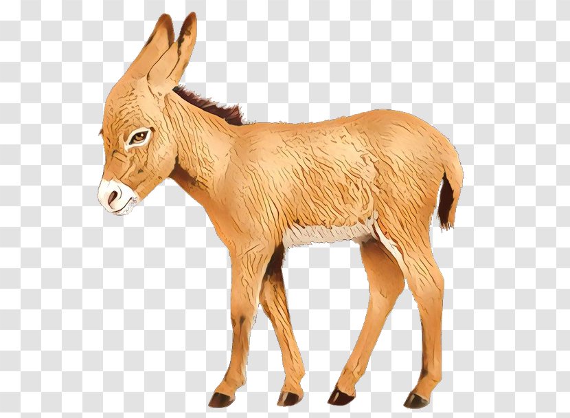 Cattle Antelope Donkey Deer Goat - Terrestrial Animal - Foal Transparent PNG