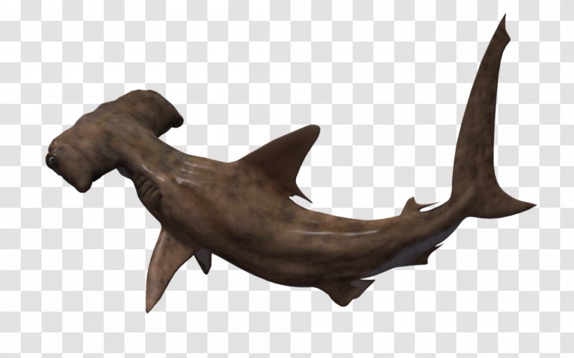 Hammerhead Shark Animation 3D Computer Graphics - Jaw - Tube Transparent PNG