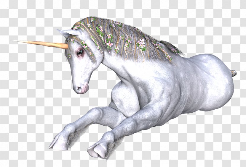 Unicorn Fairy Tale Horse Drawing Rhyme Transparent PNG