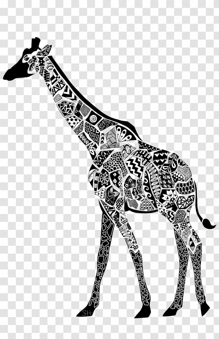 Northern Giraffe Animal Mammal Black And White Transparent PNG