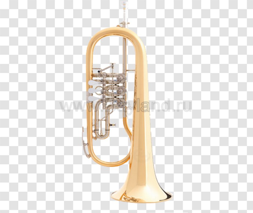 Cornet Flugelhorn Saxhorn Brass Instruments Euphonium - Tree - Trumpet Transparent PNG