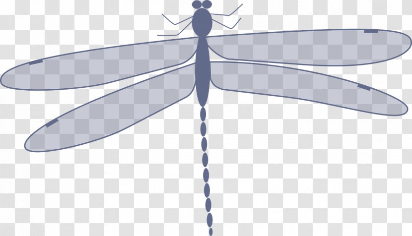 Insect Dragonfly Animation Clip Art - Invertebrate - Gray Transparent PNG