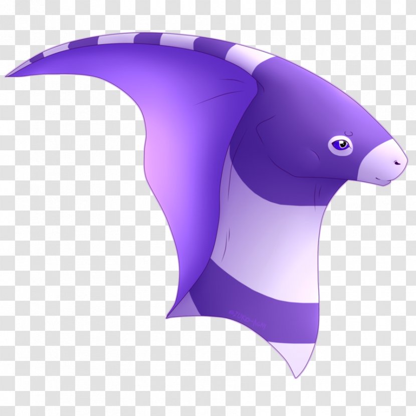 Marine Mammal - Design Transparent PNG