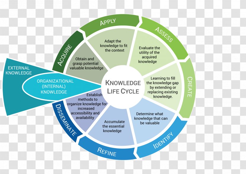 Knowledge Management Organization Product Life-cycle Transparent PNG