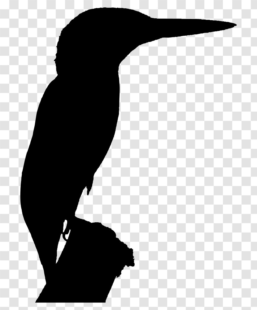 Silhouette Belted Kingfisher Clip Art Transparent PNG