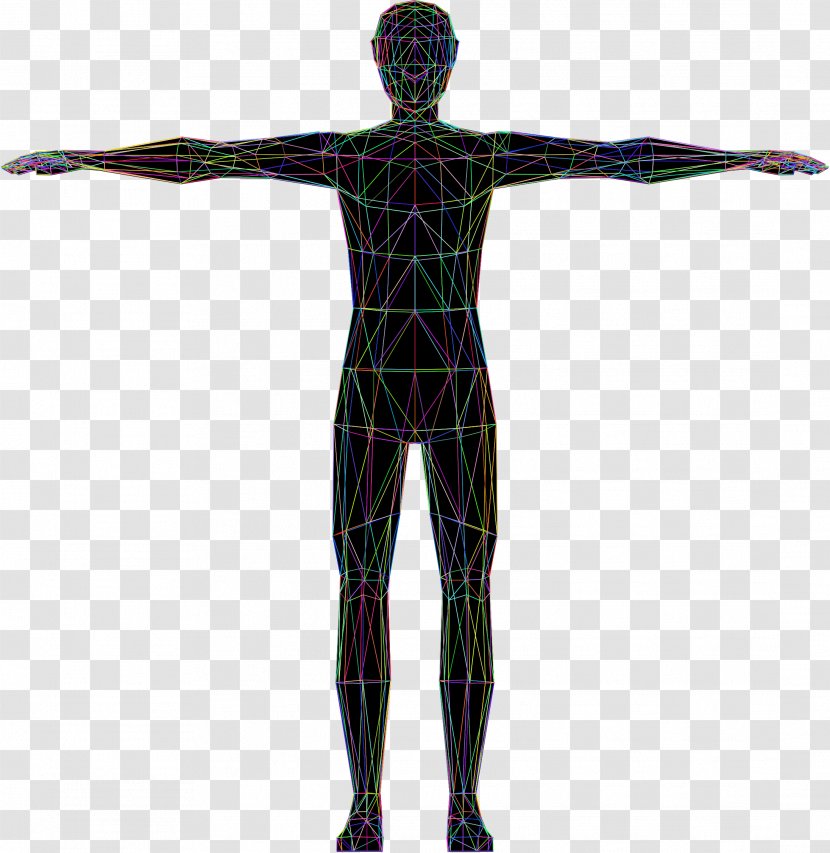Vitruvian Man Human Body Homo Sapiens Drawing Clip Art - Anatomy Transparent PNG