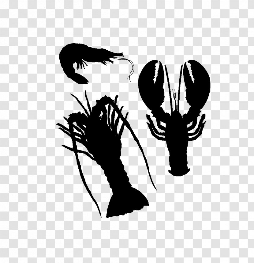 Clip Art Illustration Shoe Silhouette Mammal - Computer - Claw Transparent PNG