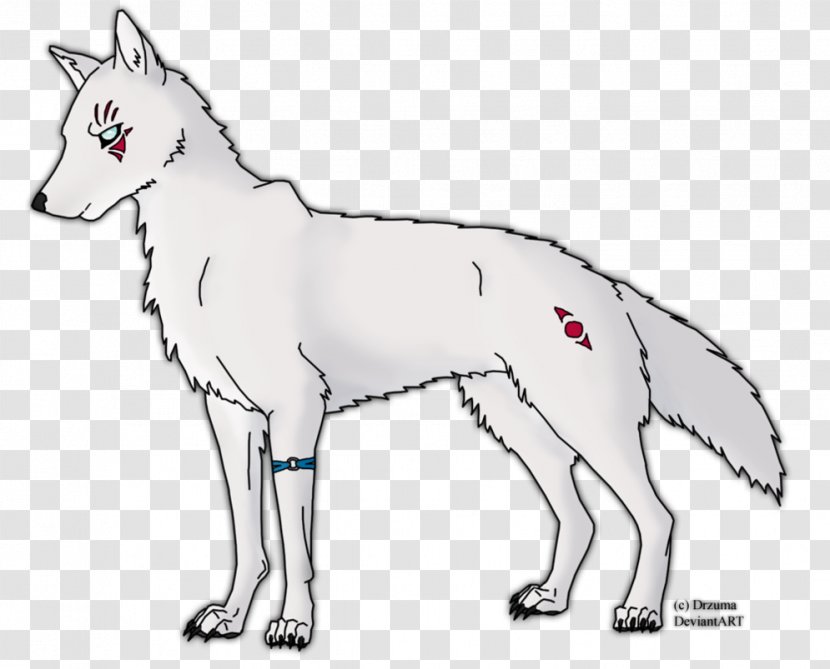 Dog Breed Red Fox Line Art Fauna - Wildlife - Colorful Eyes Transparent PNG