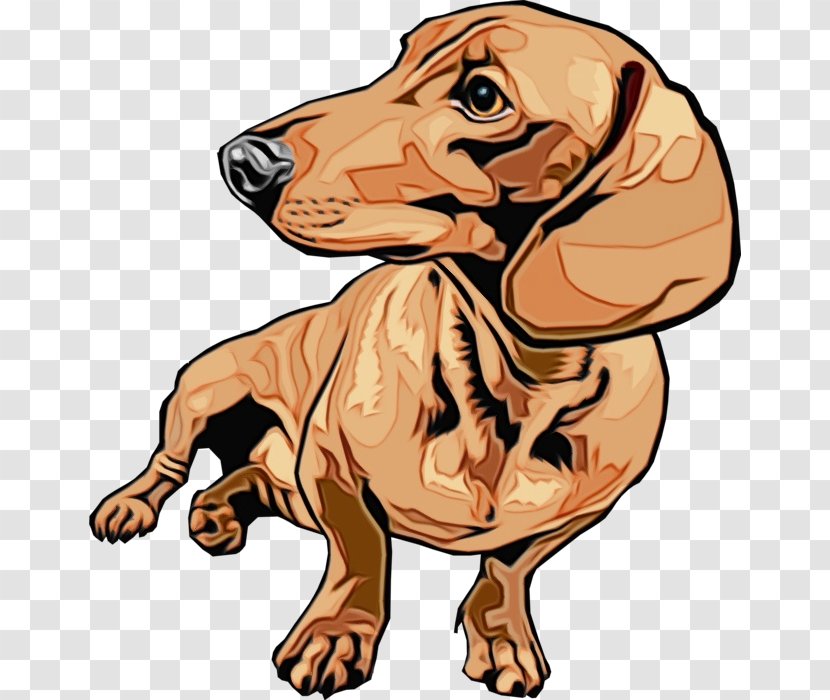 Dog Cartoon Dachshund Clip Art Breed - Vizsla Snout Transparent PNG