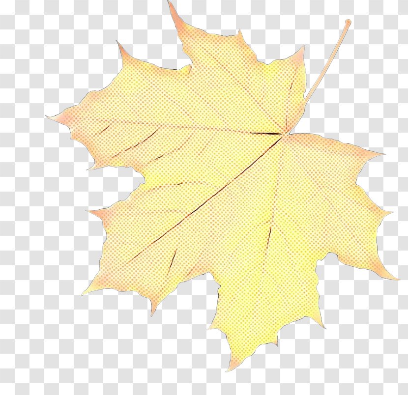 Autumn Leaves Background - Holly - Soapberry Family Transparent PNG