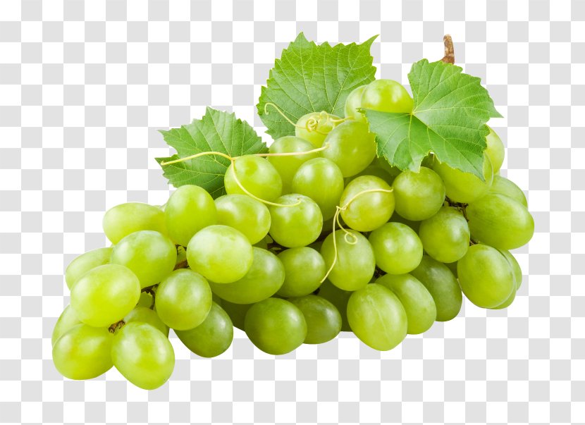 Muscat Wine Juice Concord Grape - Grapevines Transparent PNG
