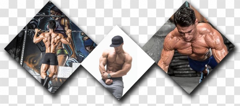 .com Bitly Muscle Dairy Products - Jeremy Buendia Transparent PNG