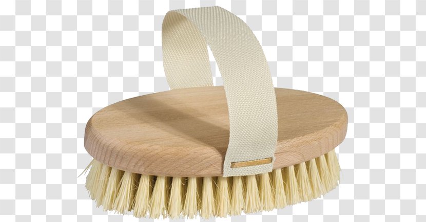 Paintbrush Fiber Beuken Børste - Bristle - Hairbrush Transparent PNG