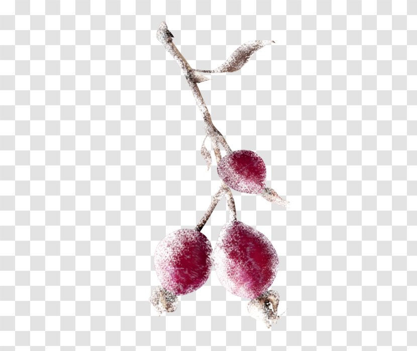 Auglis Branch Berry Clip Art - Jesus To A Child - Twig Transparent PNG