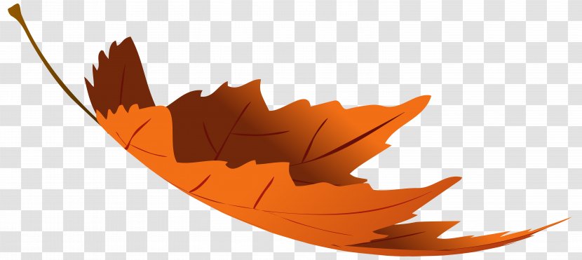 Autumn Leaf Color Clip Art - Maple - Leaves Transparent PNG