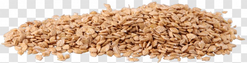 Horse Barley Cereal Oat Whole Grain Transparent PNG