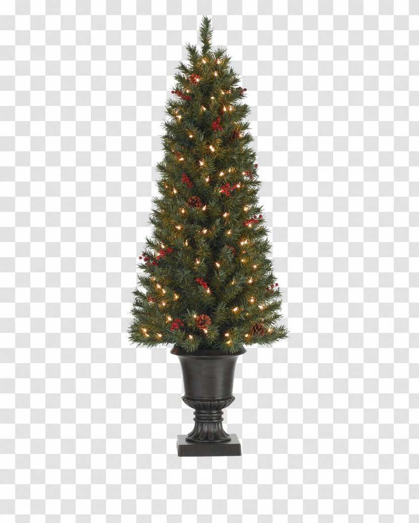 Tall Christmas Tree - Lighting - Lights Transparent PNG
