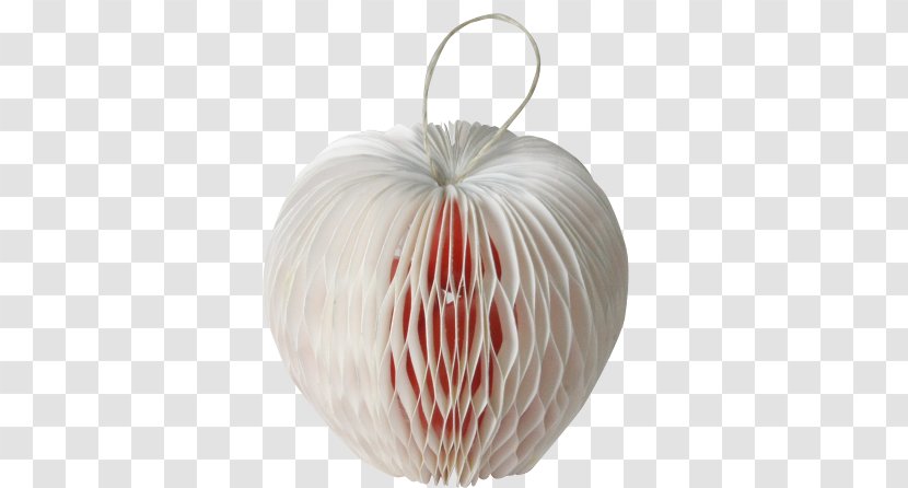 Lighting Christmas Ornament Day - Vase - Carrying A Gift Transparent PNG