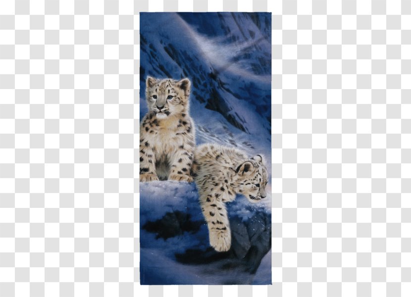 Cheetah Leopard Towel Cat Carnivora - Algarve - Beach Transparent PNG