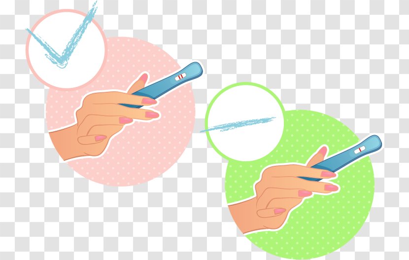 Pregnancy Illustration - Fetus - Tests Transparent PNG