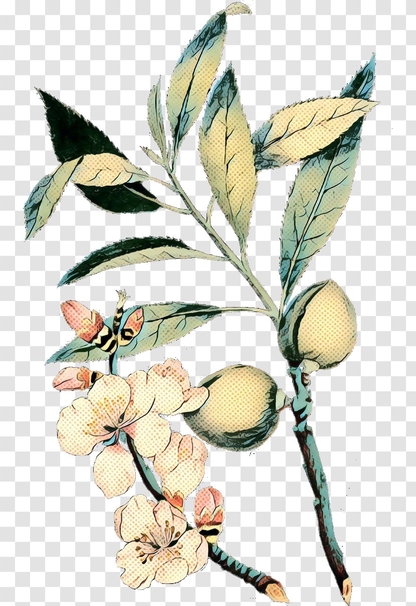 Plant Flower Leaf Tree Flowering - Fruit Transparent PNG