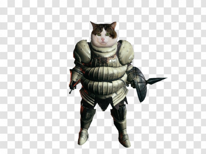 Fat Cat Character Fiction Armour Transparent PNG