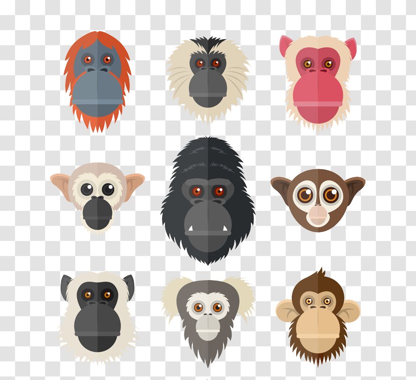 Primate Orangutan Chimpanzee Euclidean Vector Monkey - Homo Sapiens - Monkeys And Apes Transparent PNG