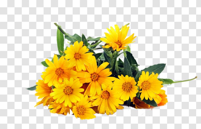 Flower Bouquet Yellow Common Daisy Stock Photography - Plant Transparent PNG