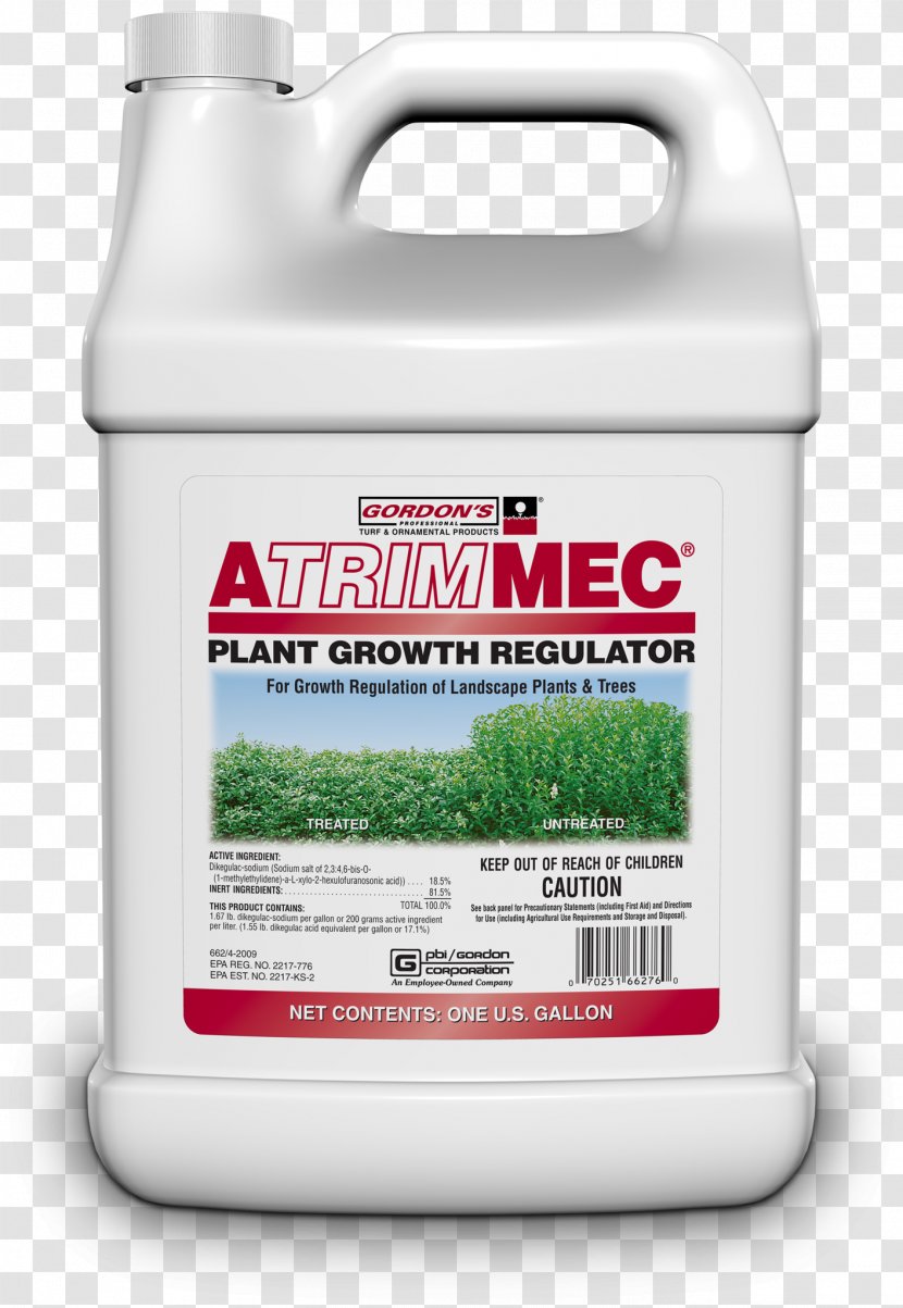 Herbicide Lawn Weed Control 2,4-Dichlorophenoxyacetic Acid - Pest - Plant Growth Transparent PNG