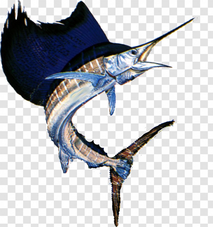Swordfish Yellowfin Tuna Atlantic Bluefin - Sailfish - Sail Transparent PNG
