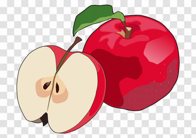 Apple Quince Cheese Food Drawing Fruit - Education Transparent PNG