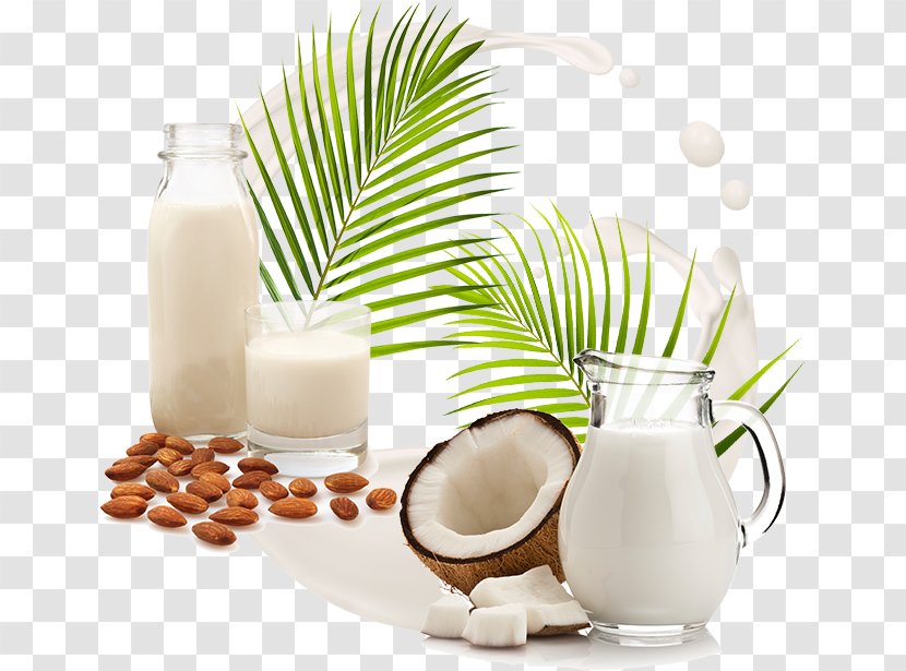 Coconut Milk Almond Water Plant Transparent PNG