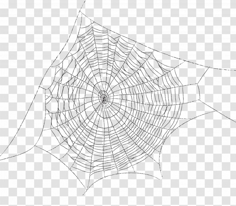 Spider Web Decoration - Area - Pattern Cartoon Transparent PNG