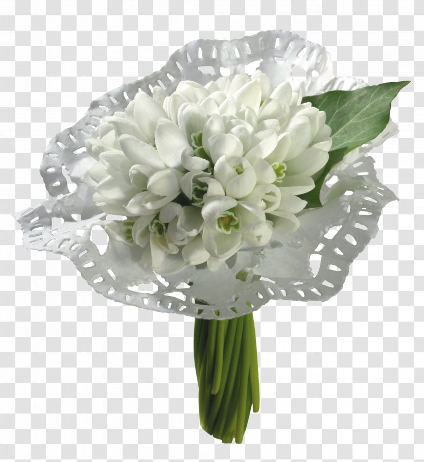 Cape Jasmine Snowdrop Flower Desktop Wallpaper - Flowering Plant Transparent PNG