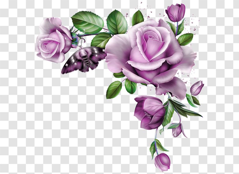 Flower Rose Clip Art Floral Design - Picture Frames - Barra Filigree Transparent PNG