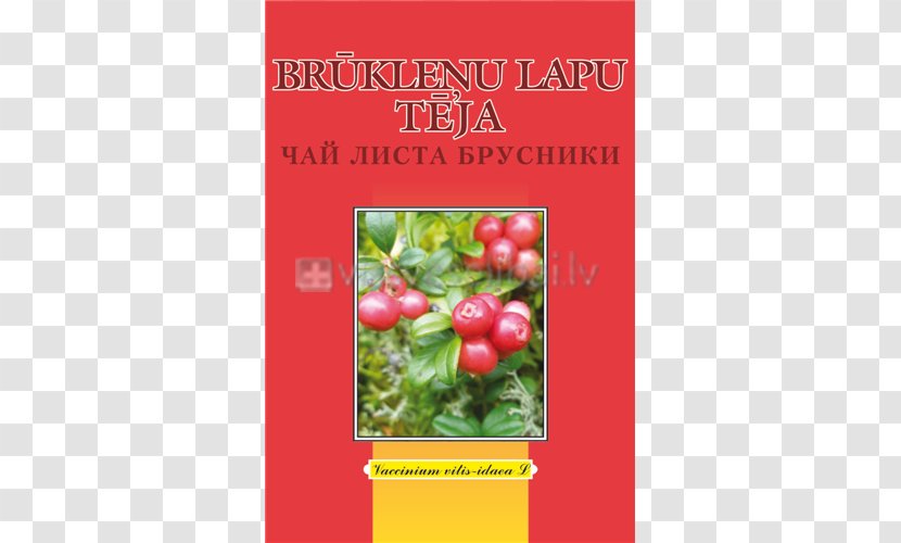 Herb Tea Leaf Root Medicinal Plants - Food Transparent PNG