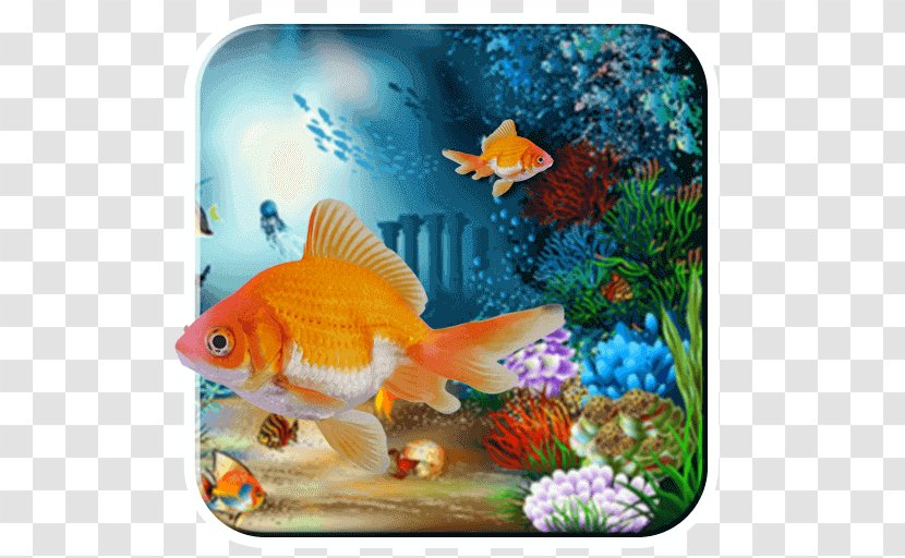 Desktop Wallpaper Sea Underwater Nature - Aquarium - Fish Transparent PNG