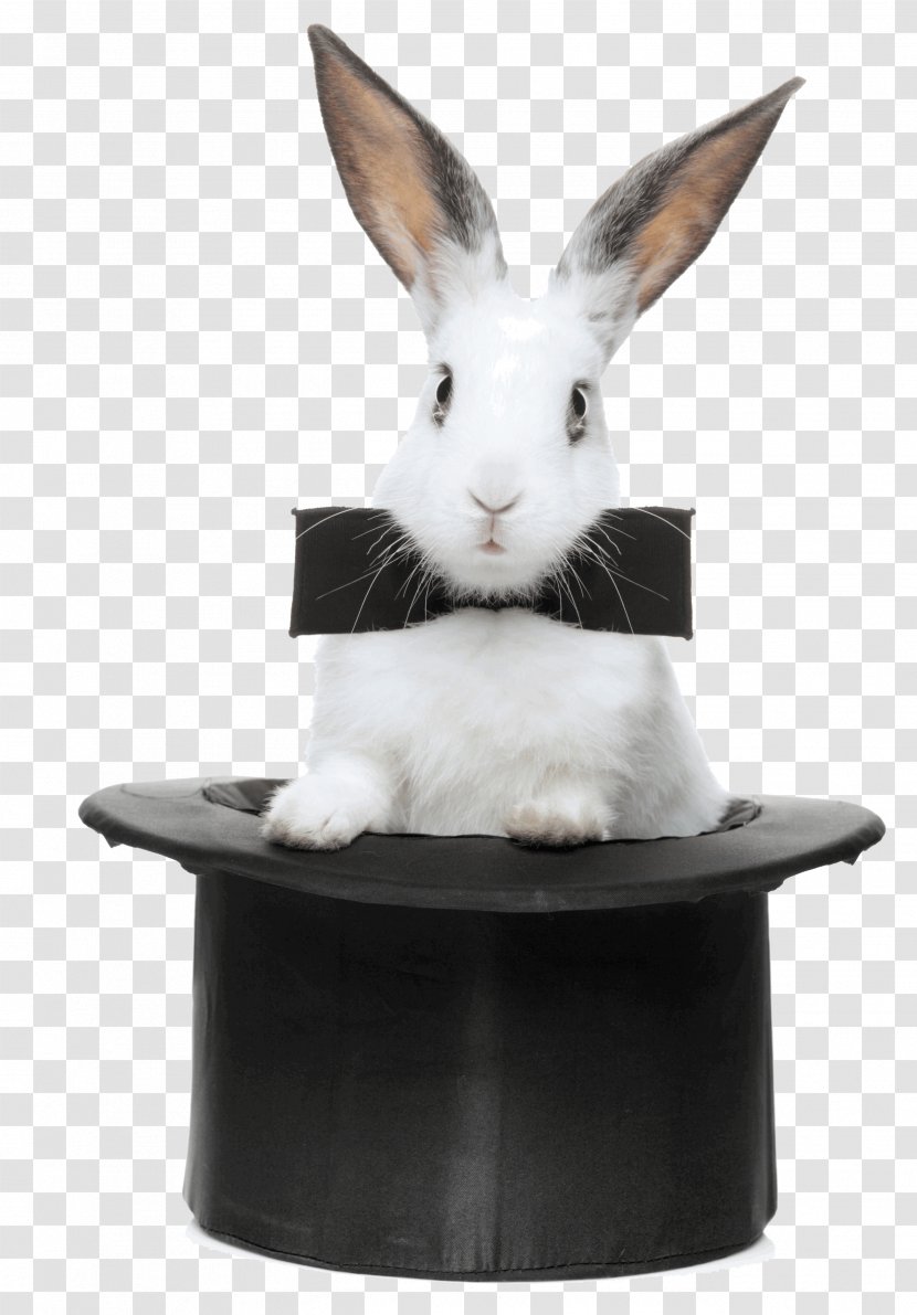 The Magic Rabbit Hat-trick Stock Photography - Rabits And Hares Transparent PNG