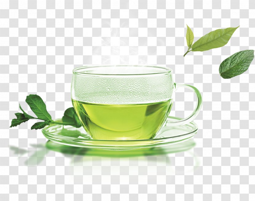 Green Tea Juice Matcha Longjing - Camellia Sinensis - A Cup Of Transparent PNG