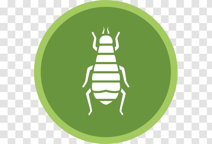 Cockroach Ant Mosquito Woodland-Davis Termite & Pest Control, Inc. - Bird Control - Flea Transparent PNG