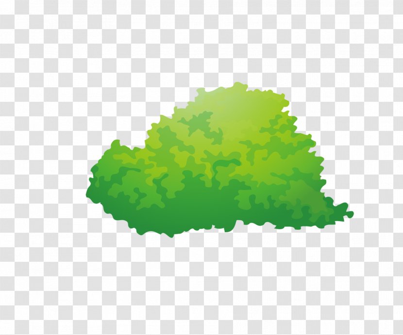 Leaf Green - Color - Grass Transparent PNG