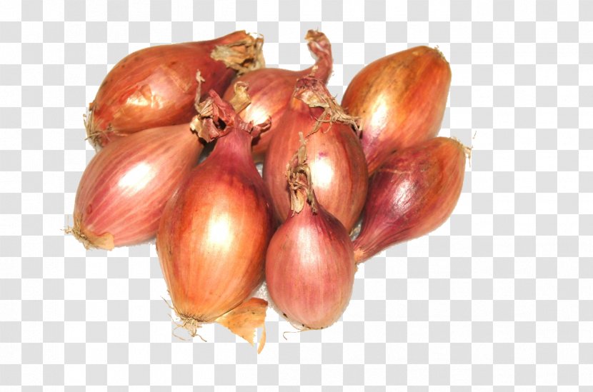 Shallot Yellow Onion Natural Foods Red - Onions Transparent PNG