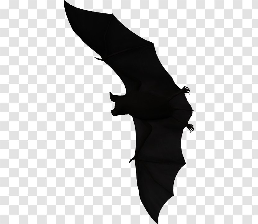 Bat Halloween Film Series - Neck Transparent PNG