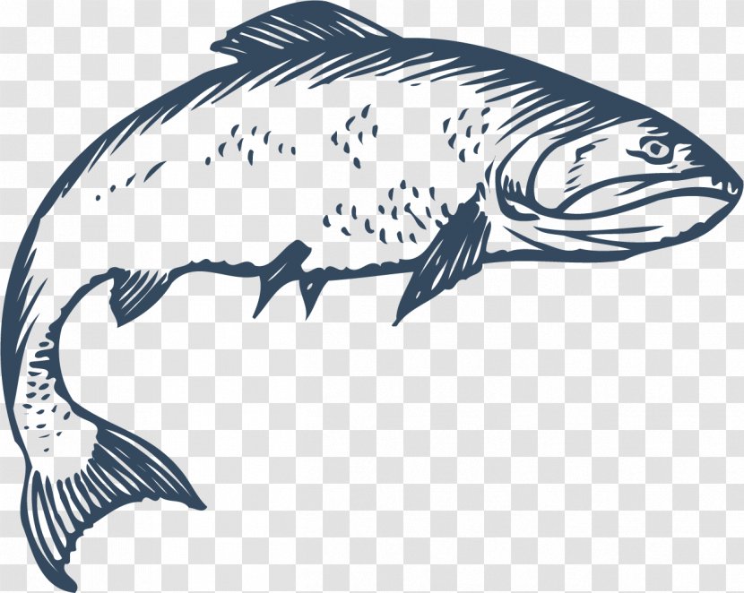 Freshwater Fish Euclidean Vector - Silhouette - Crooked Transparent PNG